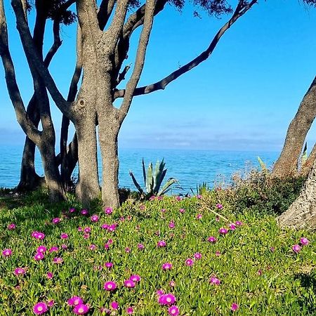 Maison U Nidu A 500M De La Mer Cervione Bagian luar foto