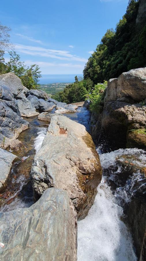 Maison U Nidu A 500M De La Mer Cervione Bagian luar foto