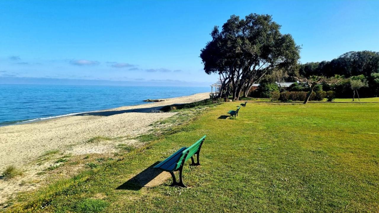 Maison U Nidu A 500M De La Mer Cervione Bagian luar foto